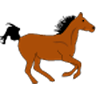 Horse Racing Application icon