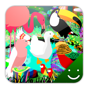 bird paradise Theme - Latest version for Android - Download APK