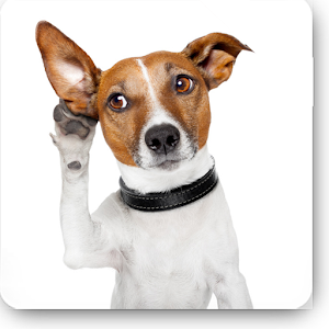 Animal Sounds For Babies No Ad.apk 1.01