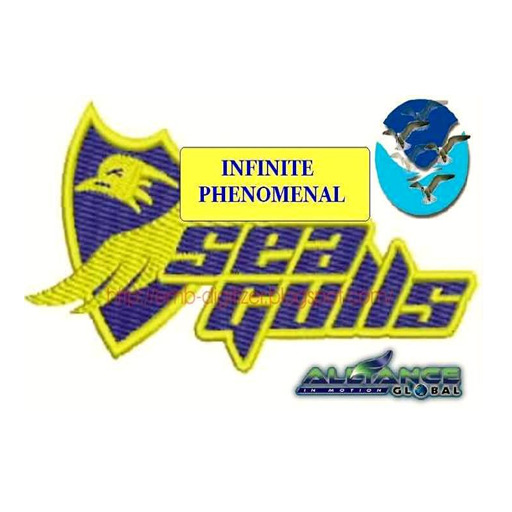 AIM Infinite Seagulls LOGO-APP點子