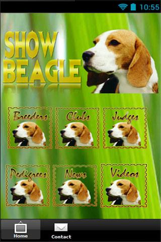 Show Beagle .com