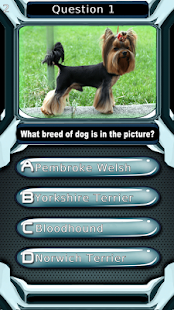 Dog Breed Animal Quiz Game Screenshots 8