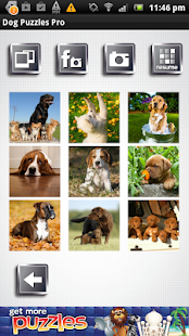 How to mod Dog Puzzles Pro lastet apk for laptop