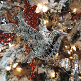 Silver Dove by Tammy Drombolis -  