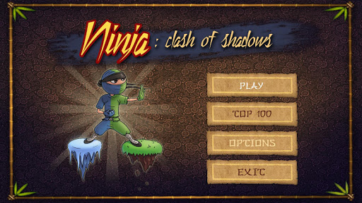 NINJA:CLASH OF SHADOWS