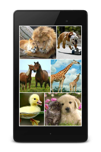 【免費娛樂App】Puzzlera Animals-APP點子