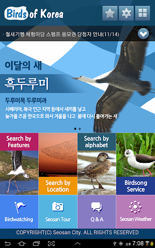 免費下載教育APP|birds of korea app開箱文|APP開箱王