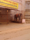 Holy Elephants Statue At Narayana Temple