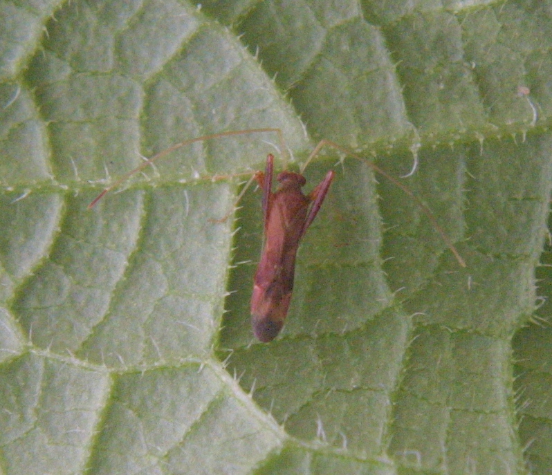 Unknown Bug