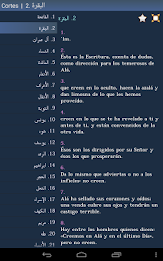Corán - Quran in Spanish poster 13
