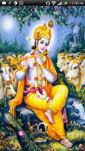 Krishna Prayer