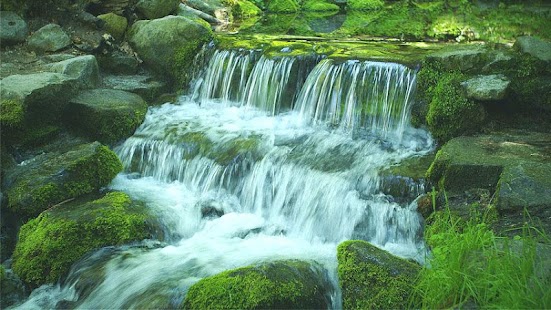 Green Stream HD Video Free Screenshots 0