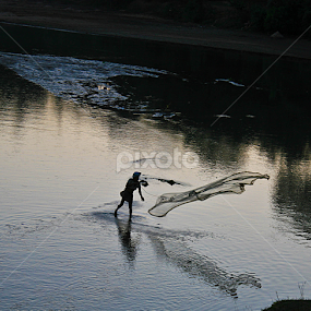 catching the night by Srimanta Ray - People Professional People