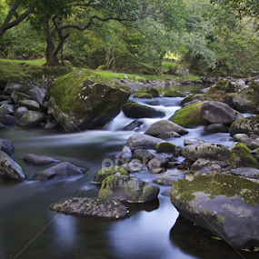 riwer by Ferdinand Debnárik - Landscapes Waterscapes