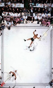 Free Boxing wallpaper APK for Android