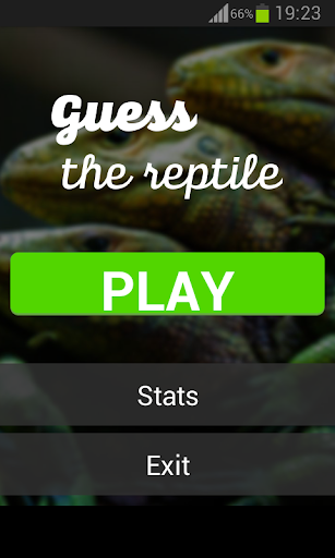Guess the reptile