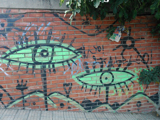 Flower Eyes Graffiti