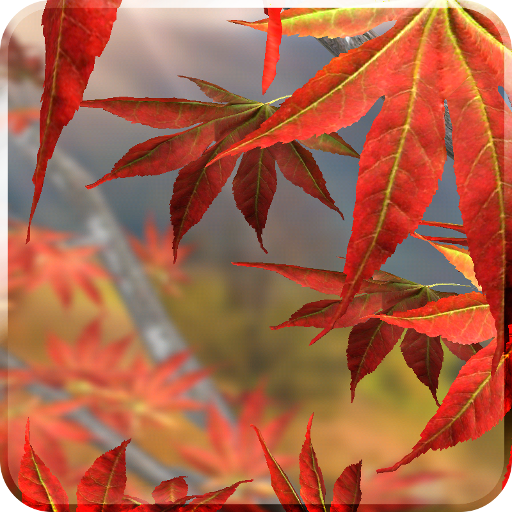 Autumn Tree Free Wallpaper 個人化 App LOGO-APP開箱王