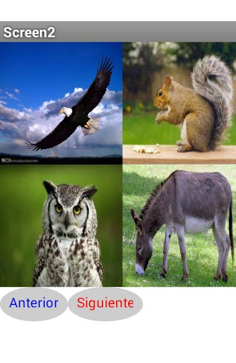 Animalitos