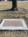 Martin Boyle Memorial Tree 