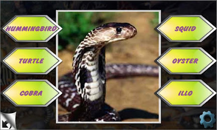 Learning games for kids by AppQuiz poster 18