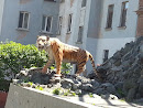 Тигр на ул. Тигровая