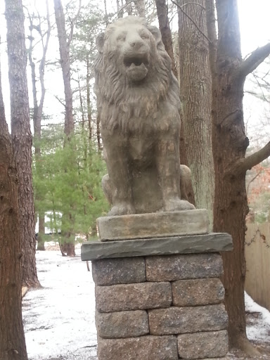 Unique Lion Statue