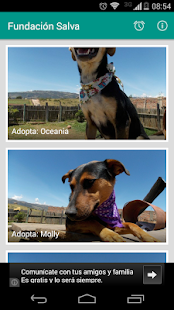 How to install Fundación Salva 1.0 mod apk for bluestacks