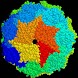 Orgo: Peptides
