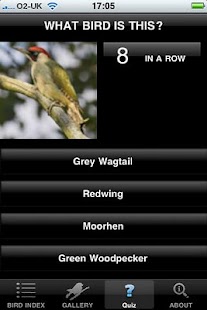 How to mod BirdsUK lastet apk for laptop