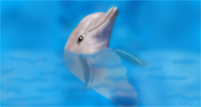 Dolphin