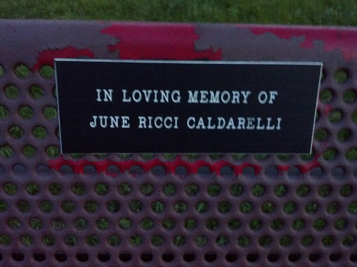 June Ricci Caldarelli Bench