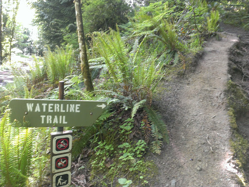 Waterline Trail