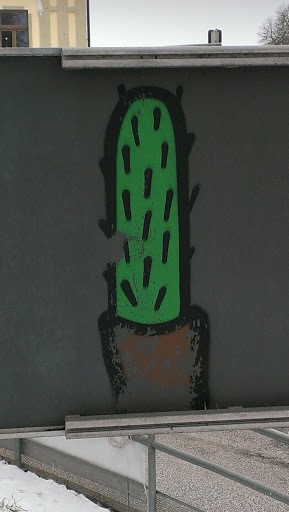 Kaktus hinter Verkehrsschild