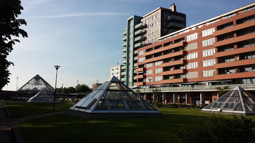 Rijswijk Pyramid Field