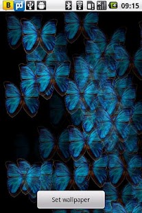 How to get Blue Butterfly Live Wallpaper 1.0 unlimited apk for pc