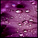 Bubble Lock Screen icon