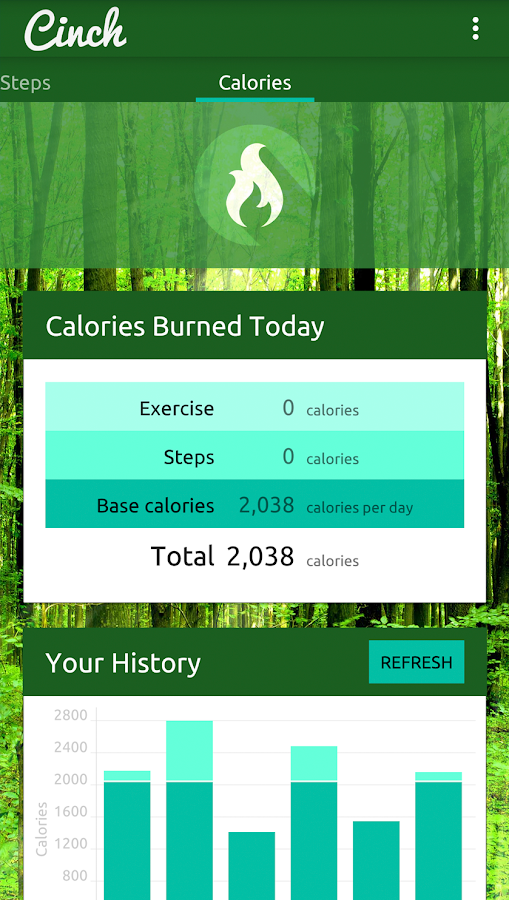    Cinch Weight Loss and Fitness- screenshot  