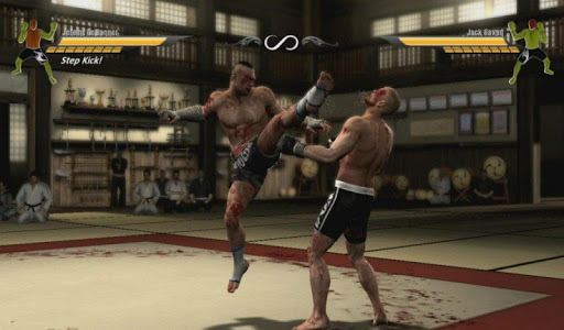 MMA Game 3D