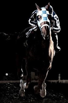 3D Horse Racing
