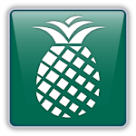 Cover Image of 下载 PineApp 2.1 APK