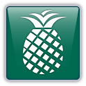 PineApp logo