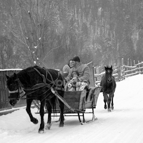 La galop cu Iarna by Kati Raileanu - Landscapes Travel