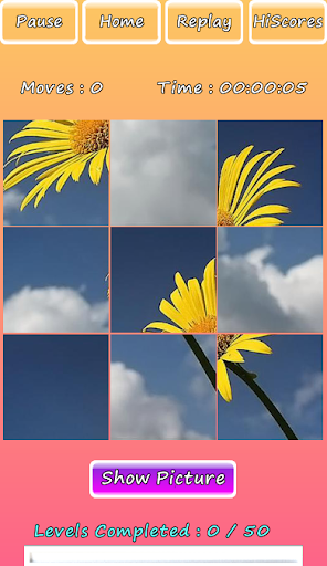Photo Puzzle Of Flowers