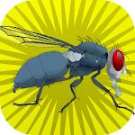 Cover Image of Tải xuống Super Fly 1.0.12 APK