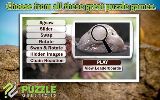 Free Weird Animals Puzzle Game