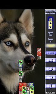 How to get Exciting Husky columns 1.1.1 unlimited apk for pc