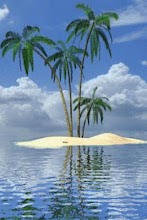 Palm In Tropical Island Live W APK Download for Android