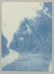 Awarra-laan bij Saron