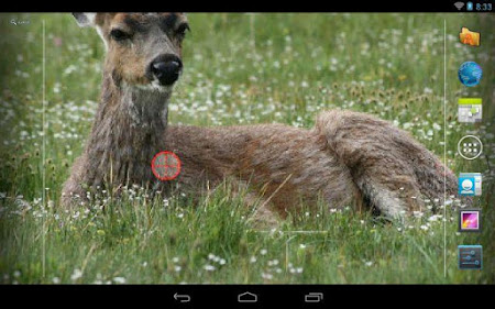 Deer Hunting Live Wallpaper 6.0.2 Apk, Free Personalization Application – APK4Now